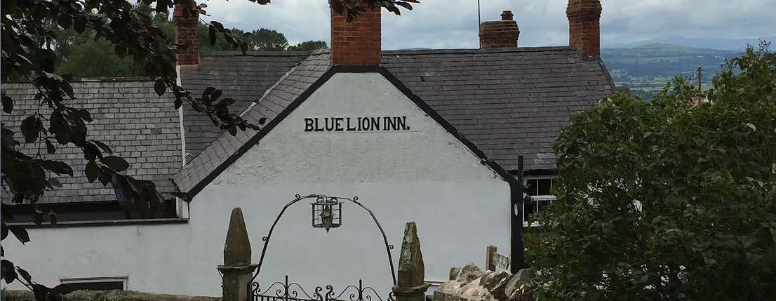 Blue Lion